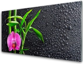 Szkło Ozdobne do Kuchni Bambus I Rosa O Poranku