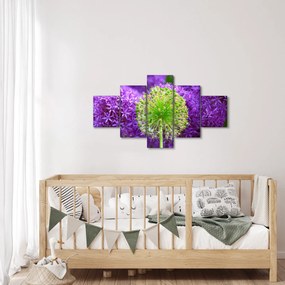 Obraz kwiatu (125x70 cm)