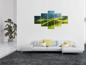 Obraz - Koncert w Tarasach Ryżowych (125x70 cm)