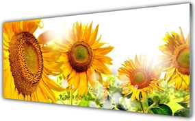 Szkło do Kuchni na Ścianę Radosne Pole Słoneczników