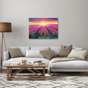 Obraz na szkle - pole tulipanów ze słońcem (70x50 cm)