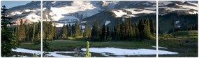 Obraz - Mount Rainier (170x50 cm)