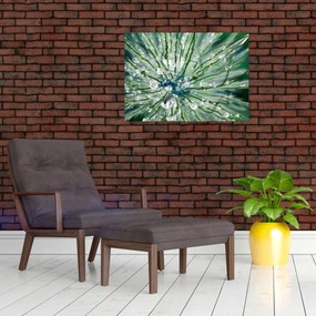 Obraz na szkle - Makro zdjęcie kwiatu (70x50 cm)