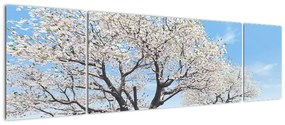 Obraz drzew (170x50 cm)