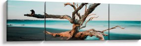 Obraz -  Wyłowiono na plaży (170x50 cm)