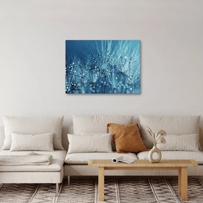 Obraz - Krople rosy (70x50 cm)