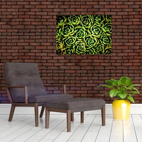 Obraz bez grzywki (70x50 cm)