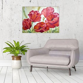 Obraz na szkle - Kwiaty maku (70x50 cm)