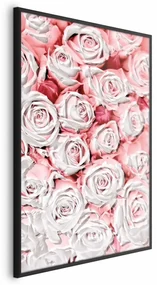 Plakat Białe róże 40x60 cm z ramą czarną bez marginesu ARTGEIST B