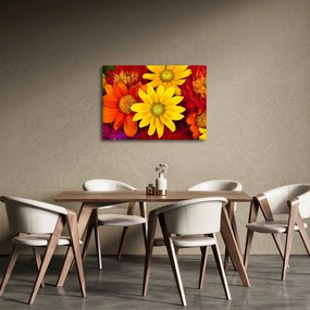 Obraz kwiatów (70x50 cm)