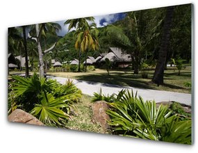 Panel Szklany Liście Palma Drzewa Natura