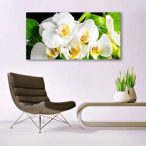 Obraz Canvas Orchidea Kwiaty Natura