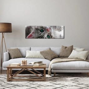 Obraz - Kot z zielonymi oczami (z zegarem) (90x30 cm)