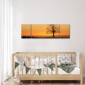 Obraz zachodu słońca na łące (170x50 cm)