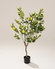 Drzewko cytrynowe Classic w doniczce 125 cm