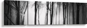Obraz - Wilk w ciemnym lesie (170x50 cm)