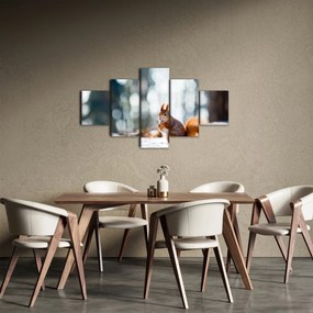 Obraz - Wiewiórka (125x70 cm)