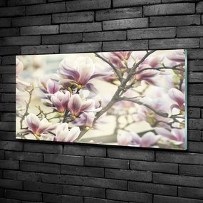 Foto obraz szkło hartowane Magnolia