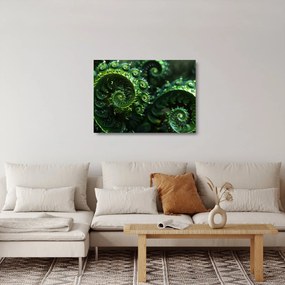 Obraz na szkle - Spirale (70x50 cm)