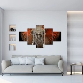Obraz - Słonie z Tsavo (125x70 cm)