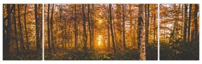 Obraz jesiennego lasu (170x50 cm)