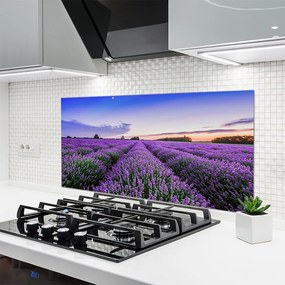 Panel Kuchenny Letnia Łąka Pełna Kwiatów