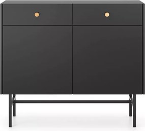 Alderia 2D2S – nowoczesna komoda do salonu i sypialni, dostępna w 2 kolorach