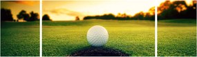 Obraz - Golf (170x50 cm)