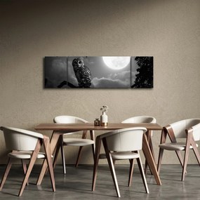 Obraz - Nocna sowa, czarno-biały (170x50 cm)