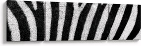 Obraz skóry zebry (170x50 cm)