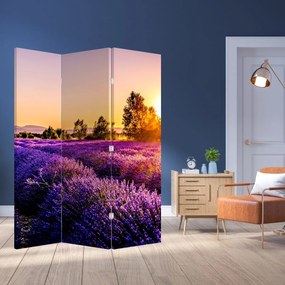 Parawan - Lawendowe pole (126x170 cm)