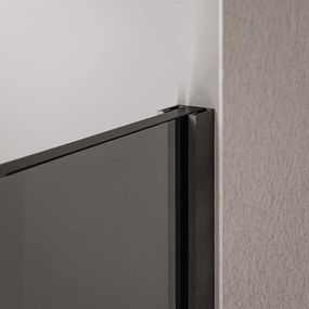 Ścianka prysznicowa Walk-In 10 mm EX102