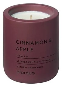 Zapachowa sojowa świeca czas palenia 24 h Fraga: Cinnamon & Apple – Blomus