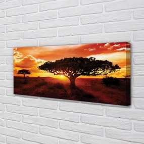 Obraz na płótnie Drzewa i Chmury o Zachodzie