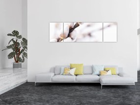 Obraz - Gałąź wierzby płaczącej (170x50 cm)