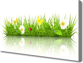 Obraz canvas na ścianę Zielona Świeżość Trawy