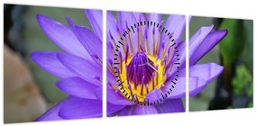 Obraz - Fioletowy kwiat (z zegarem) (90x30 cm)