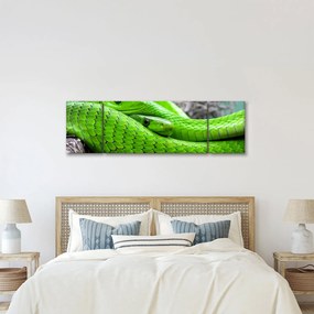 Obraz zielonych węży (170x50 cm)