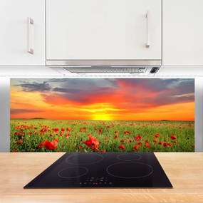 Panel Szklany Maki Słońce Roślina Natura