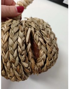 PROMOCJA Dekoracja dynia PUMPKIN COACH GRASS II. jakość