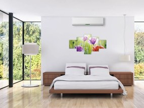Obraz - Maki (125x70 cm)