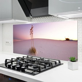 Panel Szklany Piaszczyste Wydmy Pustyni