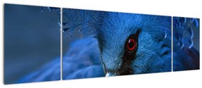 Obraz - Koronowany gołąb (170x50 cm)