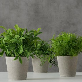 Sztuczna roślina w cementowej doniczce FERN, 17 cm