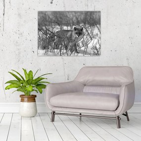 Obraz - Lis w zimie (70x50 cm)