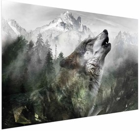 Plakat Wyjący wilk 60x40 cm bez ramy bez marginesu ARTGEIST B