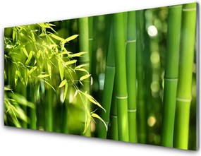 Panel Szklany do Kuchni Botaniczny Motyw Bambusa