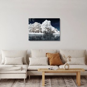 Obraz na szkle - Śnieżnobiałe drzewa (70x50 cm)