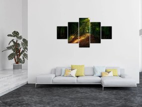 Obraz leśnej ścieżki (125x70 cm)