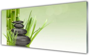 Panel Szklany Świeżość Zielonego Bambusa